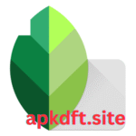Snapseed APK